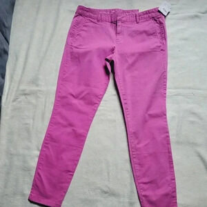 Khaki By Gap Pants NWT